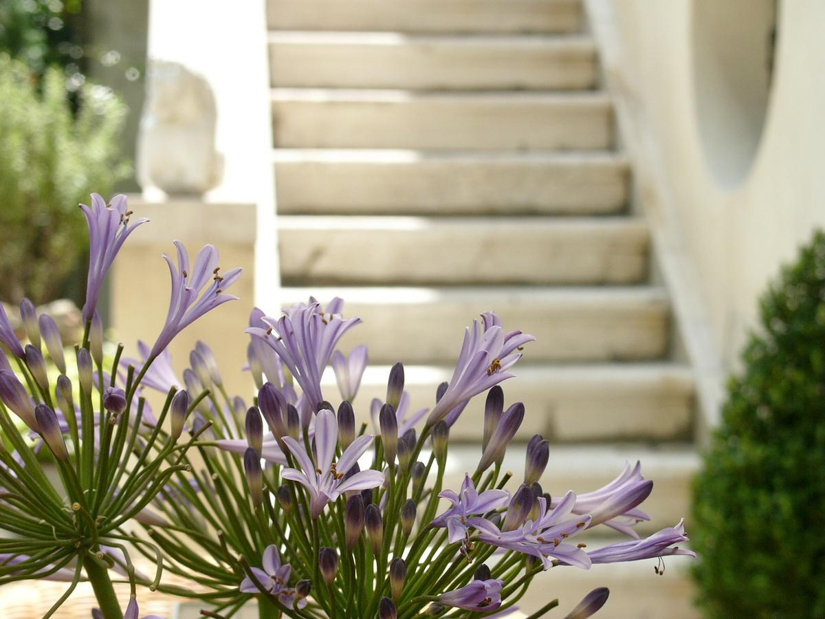 Primaluce Bed & Breakfast เวนิส ภายนอก รูปภาพ